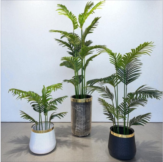 Palm Plant With Pot