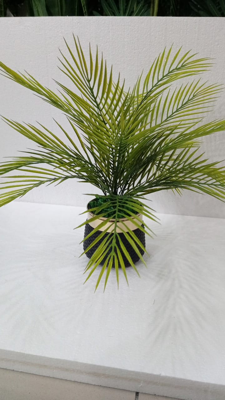 Palm Tree in Elegant Pot