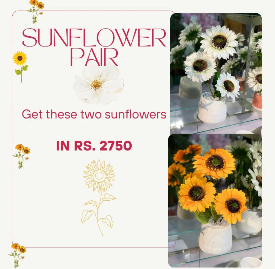 Sunflower Sunshine! ☀️
