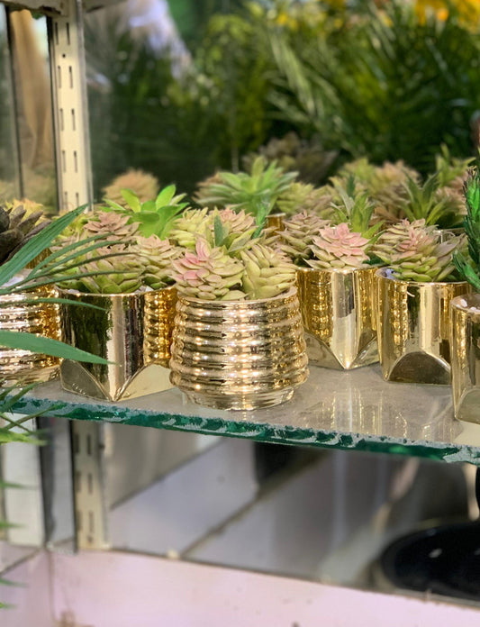 Gold Metallic Planters with Artificial Succulents