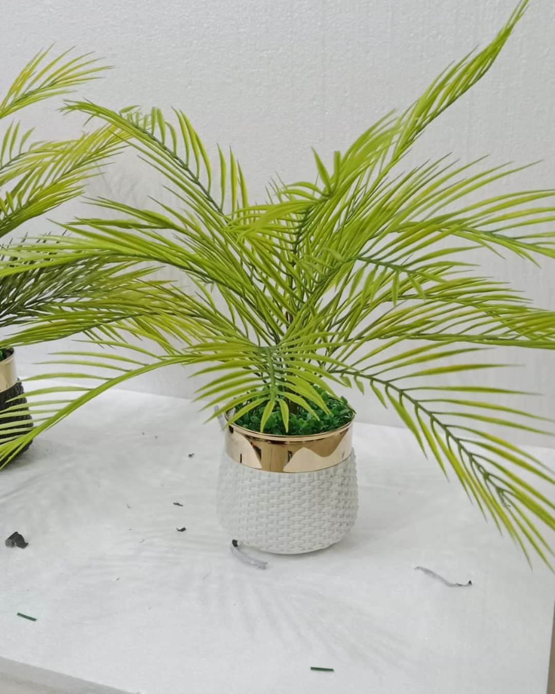 Palm Tree in Elegant Pot
