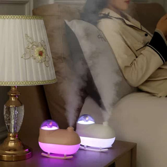 Cute Frog Humidifier & Diffuser