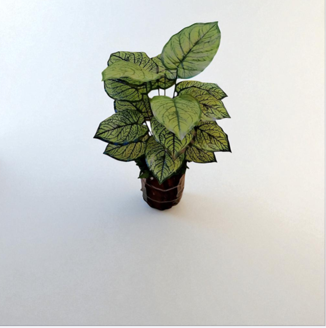 Faux Decorative Plants with  Wood Base