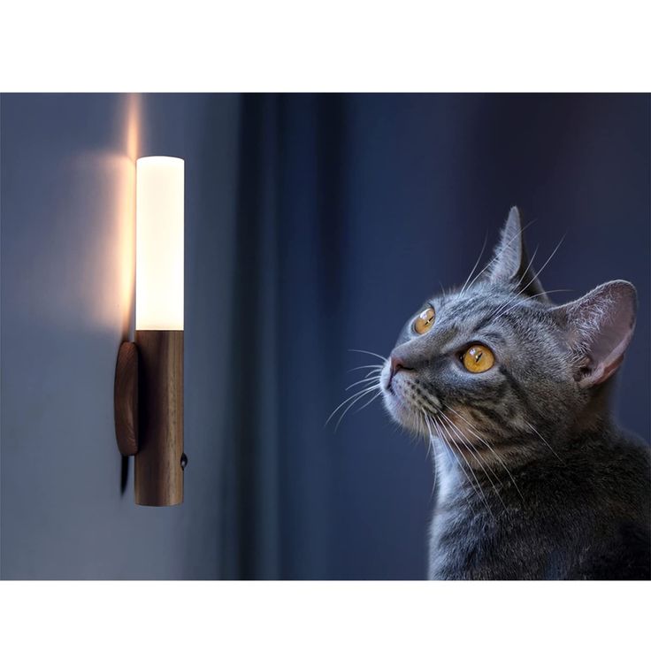 Motion Sensor Night Light with Wood Base