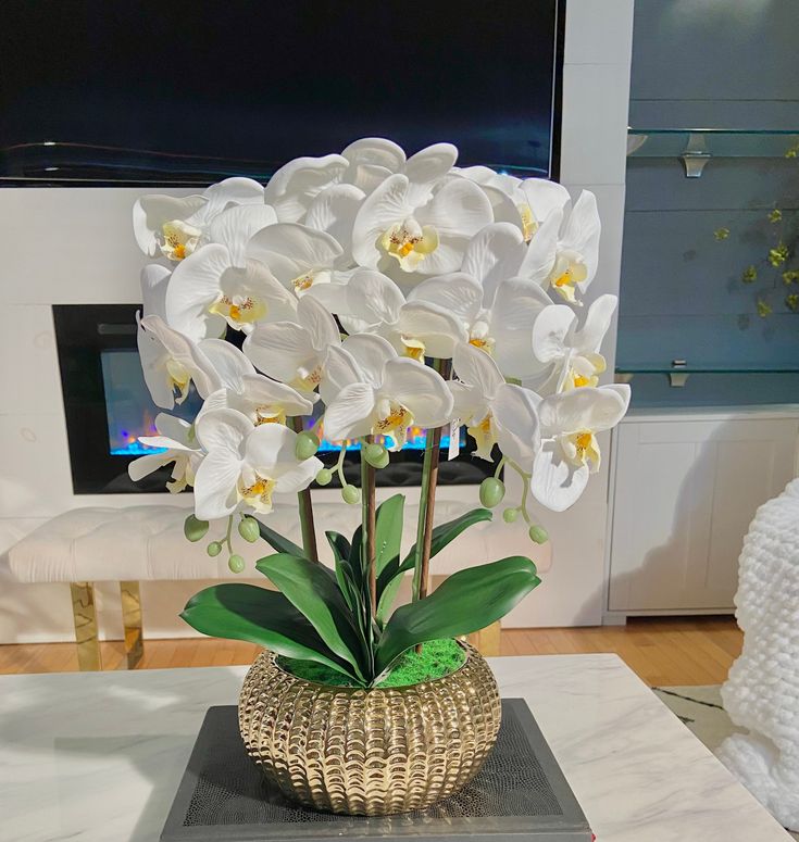 Elegant White Orchid Arrangement in Gold Pot