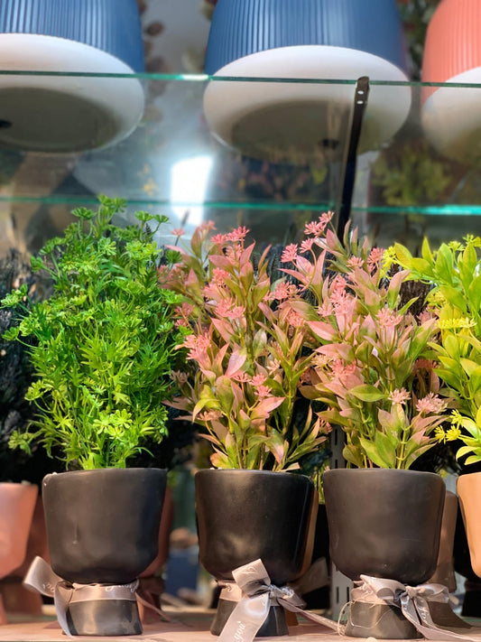 Sleek & Sophisticated - Planters