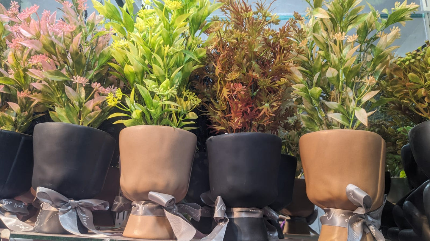 Sleek & Sophisticated - Planters