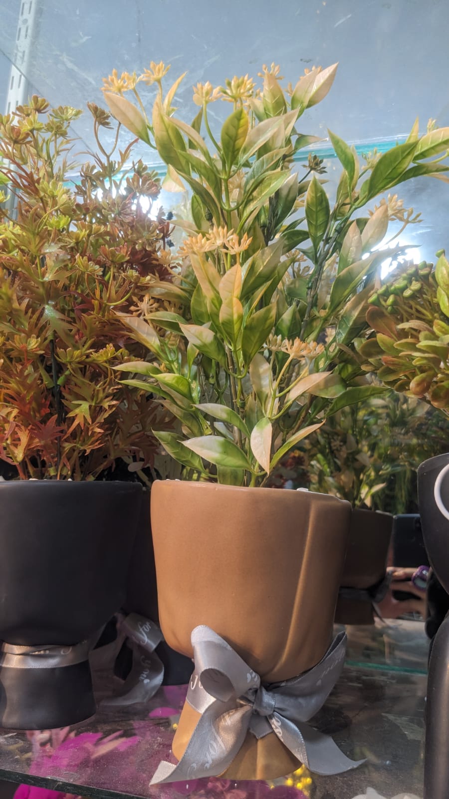 Sleek & Sophisticated - Planters